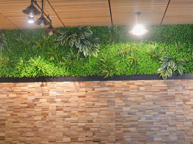 Tường cây giả trang trí quán cafe