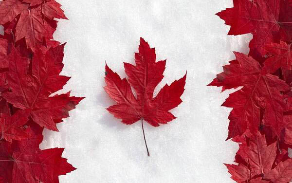 Lá phong đỏ là biểu tượng của đất nước Canada