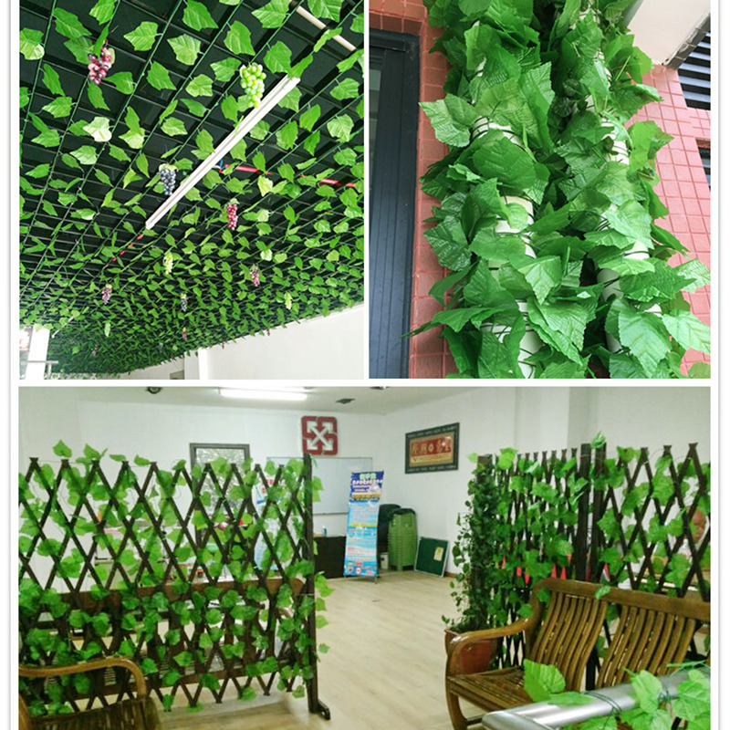 Cây thường xuân giả trang trí văn phòng