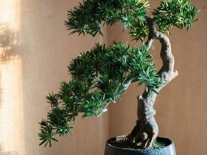 Cây bonsai giả đẹp