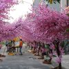Cây đào giả cao 4m